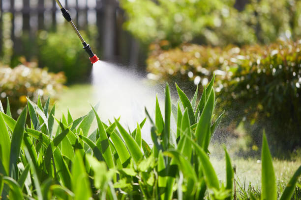 Tamper-Resistant Bait Stations for Rodents in Elk River