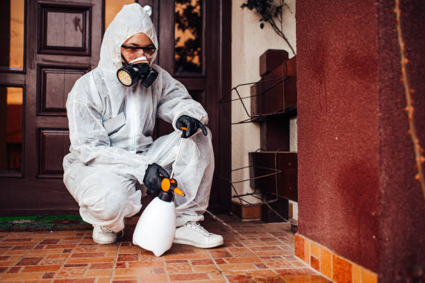 Attic and Crawl Space Rodent Treatment in Elk River