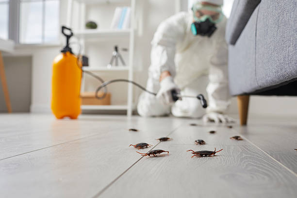 Commercial Rodent Management in Elk River
